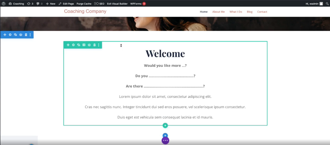 Page editing with Divi